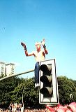 ampelraver