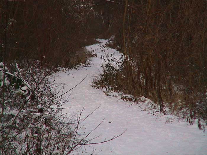 dsc00059-01