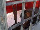 dsc00054-01