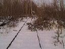 dsc00055-01