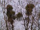 dsc00058-01