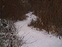 dsc00059-01
