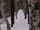 dsc00066-01