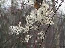 dsc00068-01