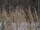dsc00079-01